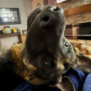 Meet your Posher, Emma